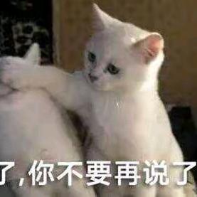 云想想