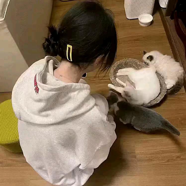 太阳