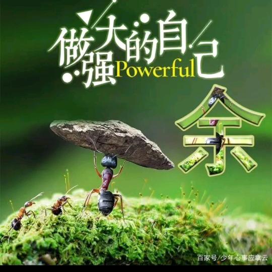 新产业工人