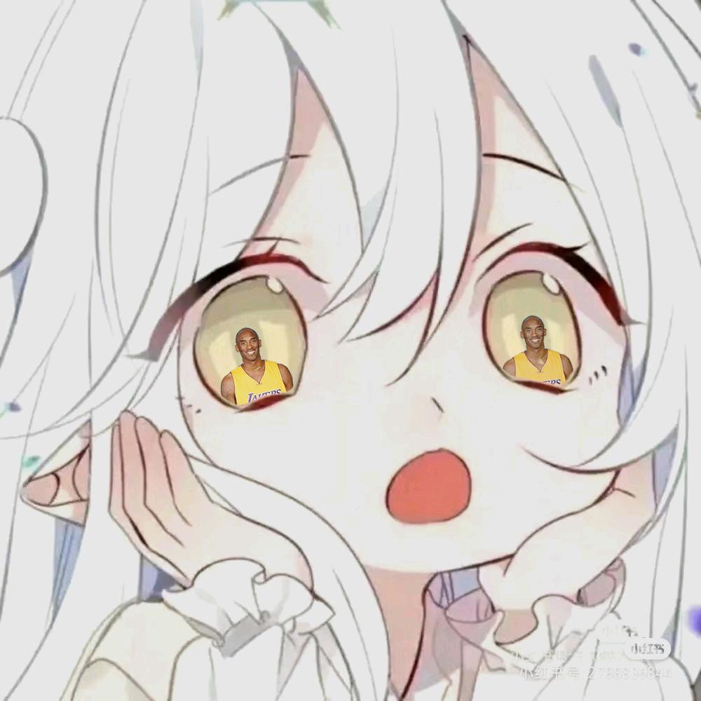 东海魔鬼鱼