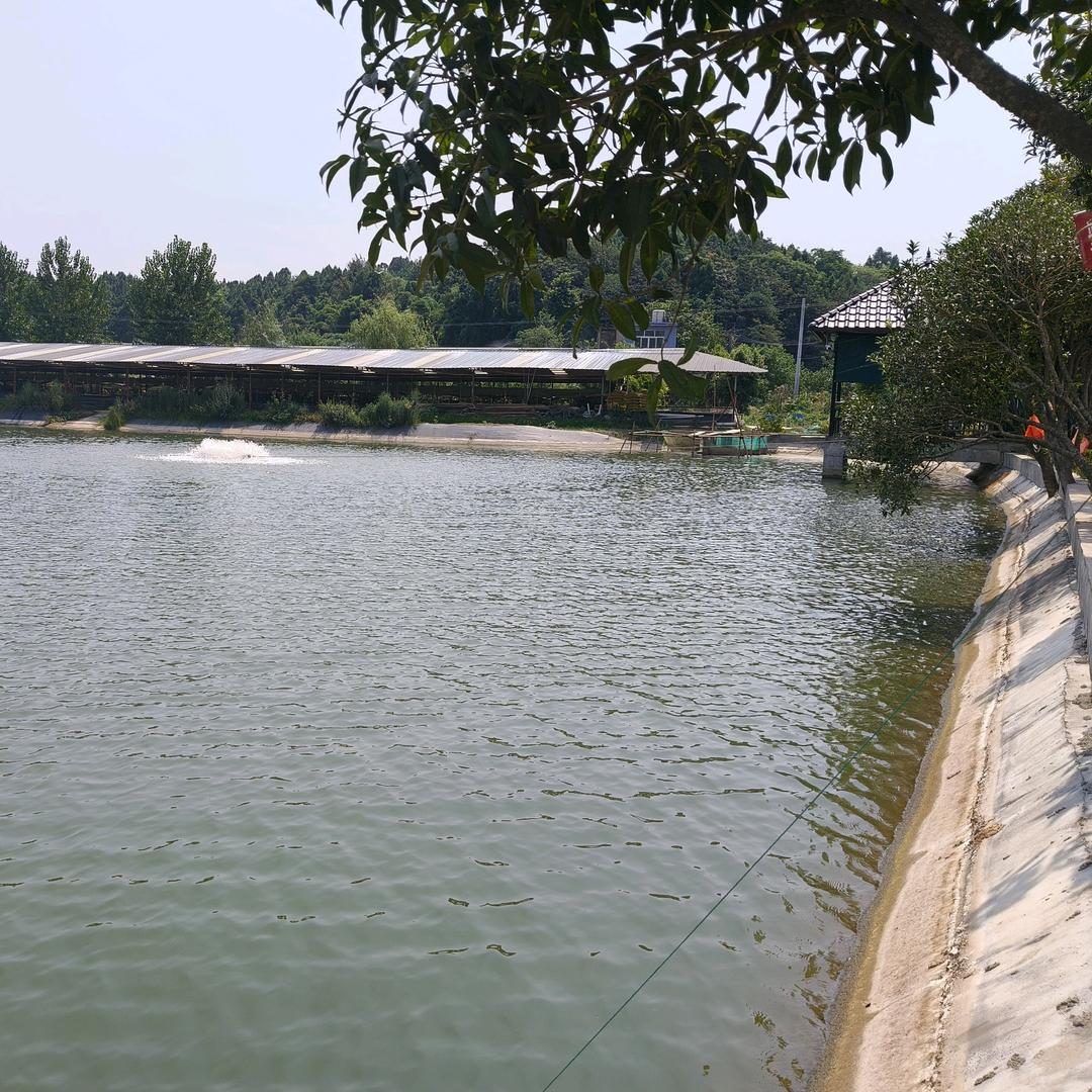 中江县三哈家庭农场（垂钓）
