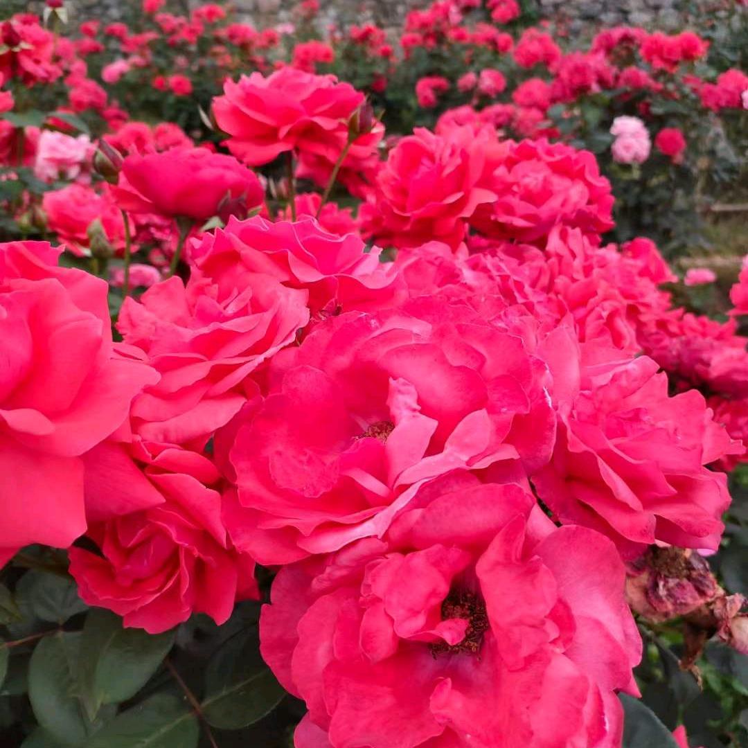 伞🌂