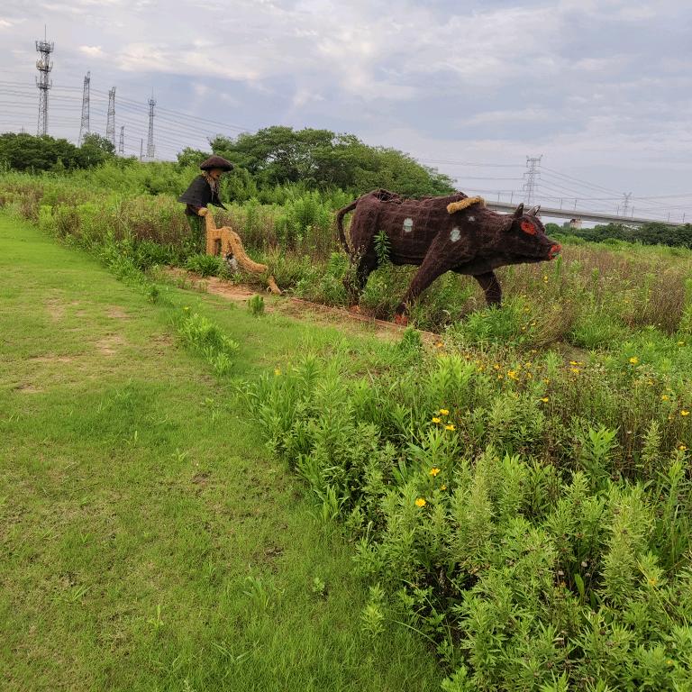 快乐帅哥早上7点30分开播