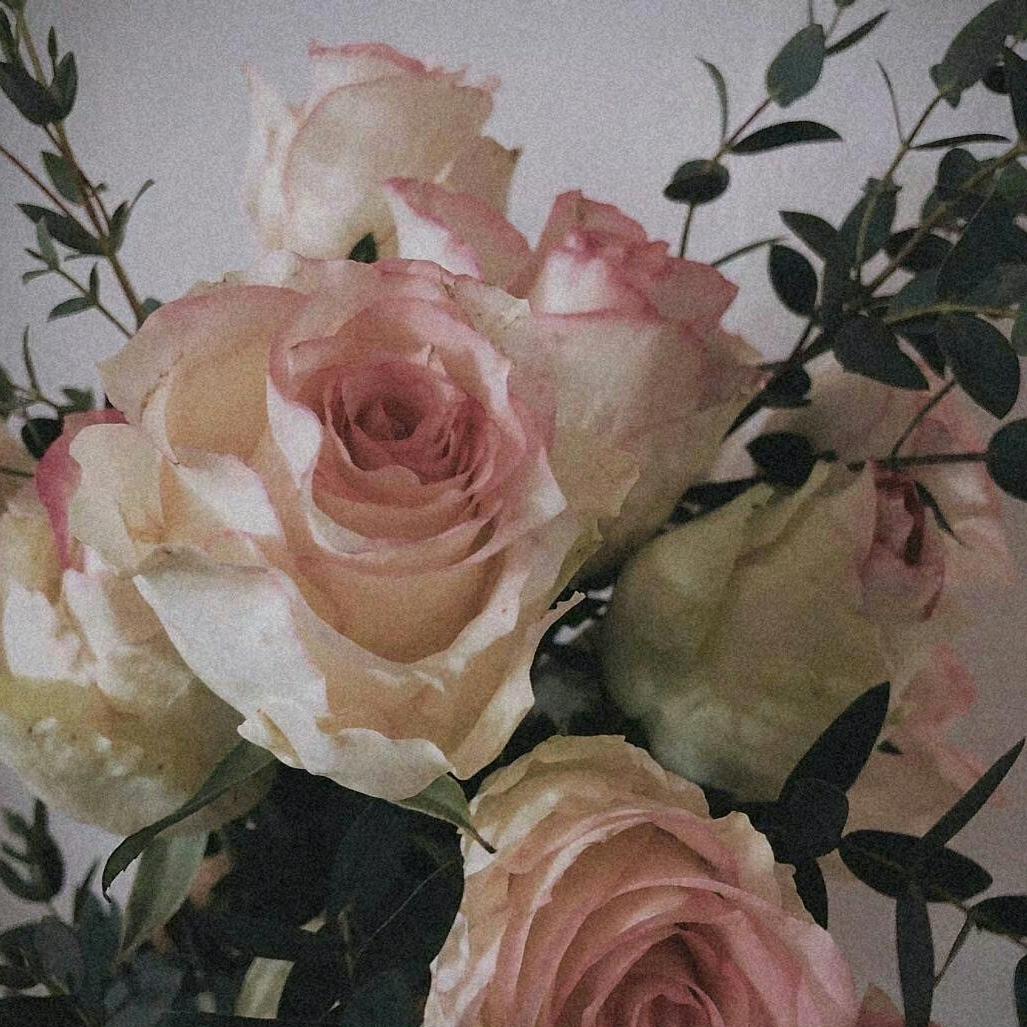 废废（影视剪辑版）