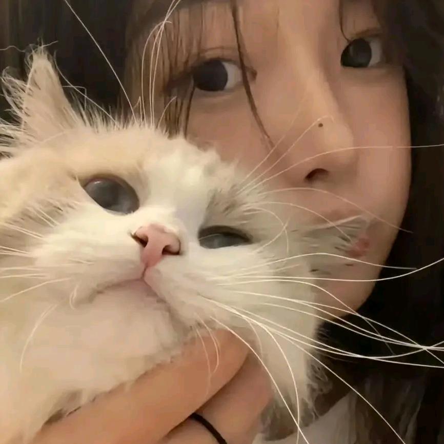 芝芝·🦋