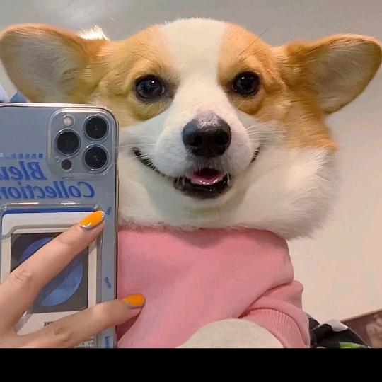 ￴￴   ￴ ￴ ￴￴￴