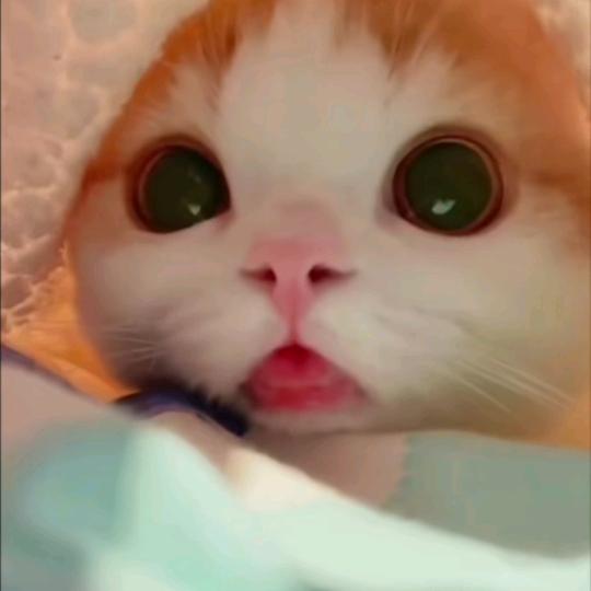 陆七周