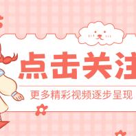 琴琴爱分享