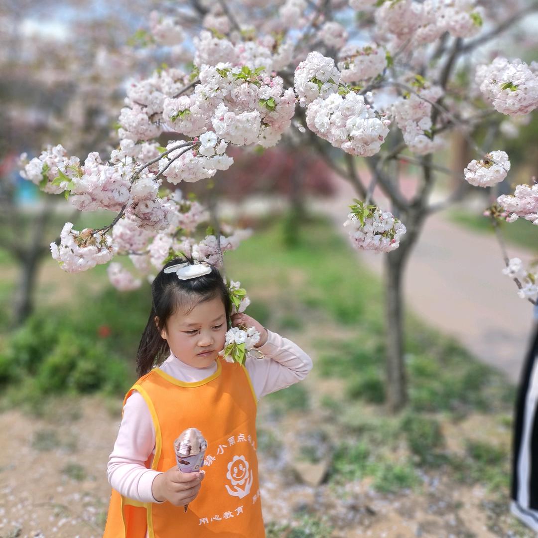 何幺妹
