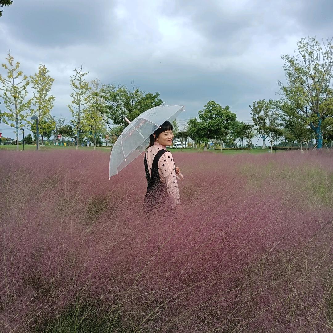 真善美