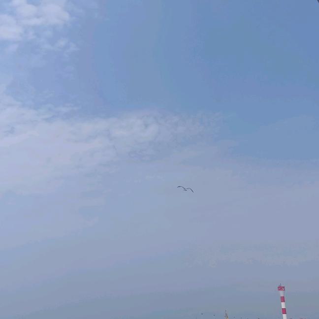 陈一航