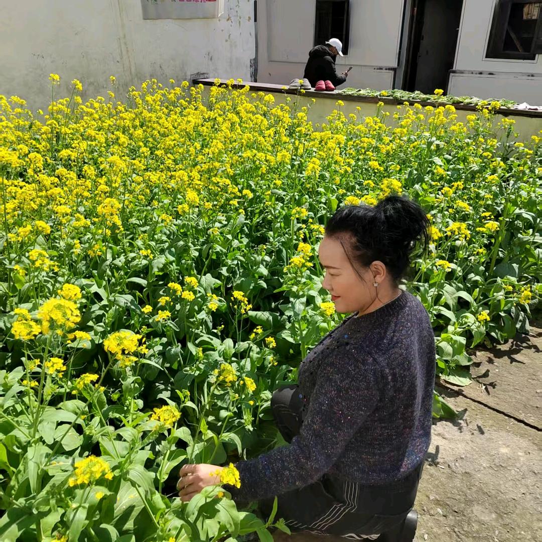 蜡笔小新