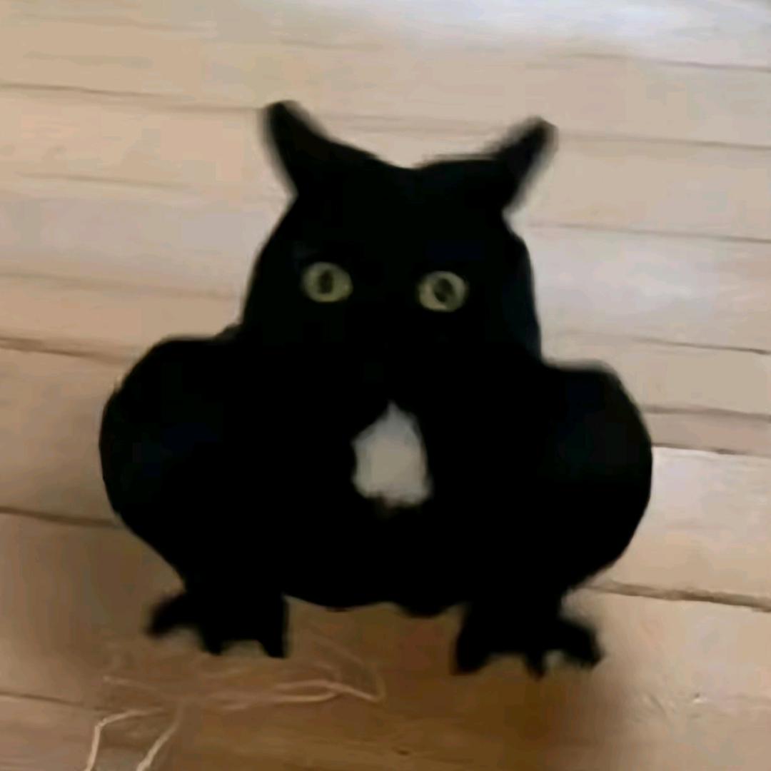 🦆oom