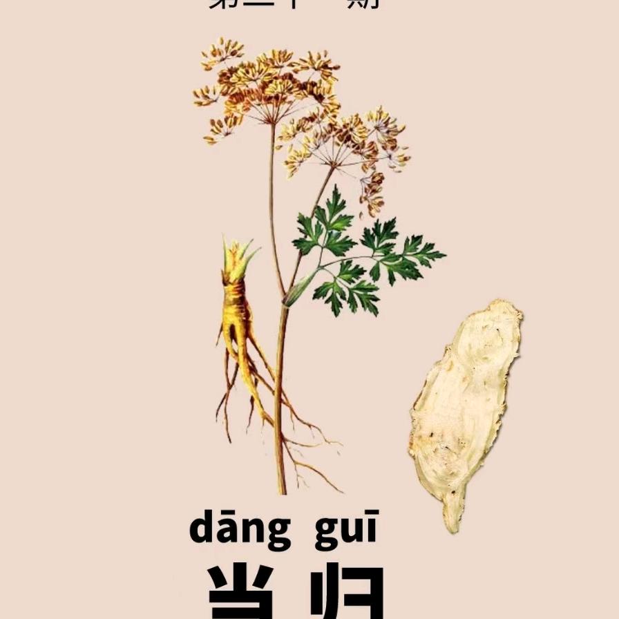 云南中草药种植技术
