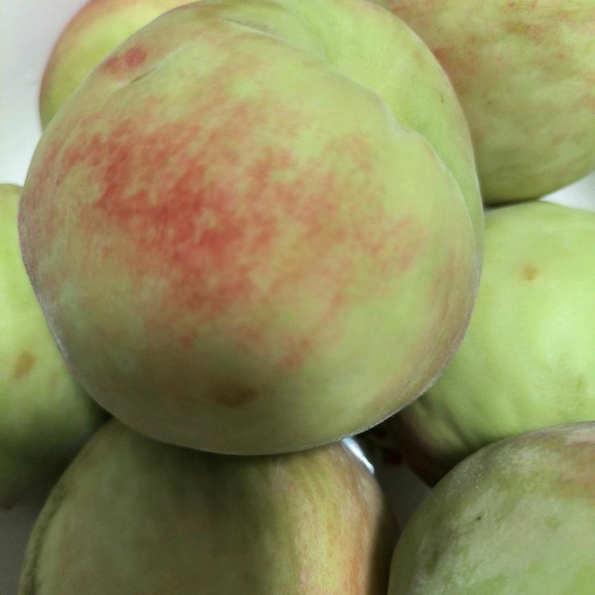 喜欢春天的样子