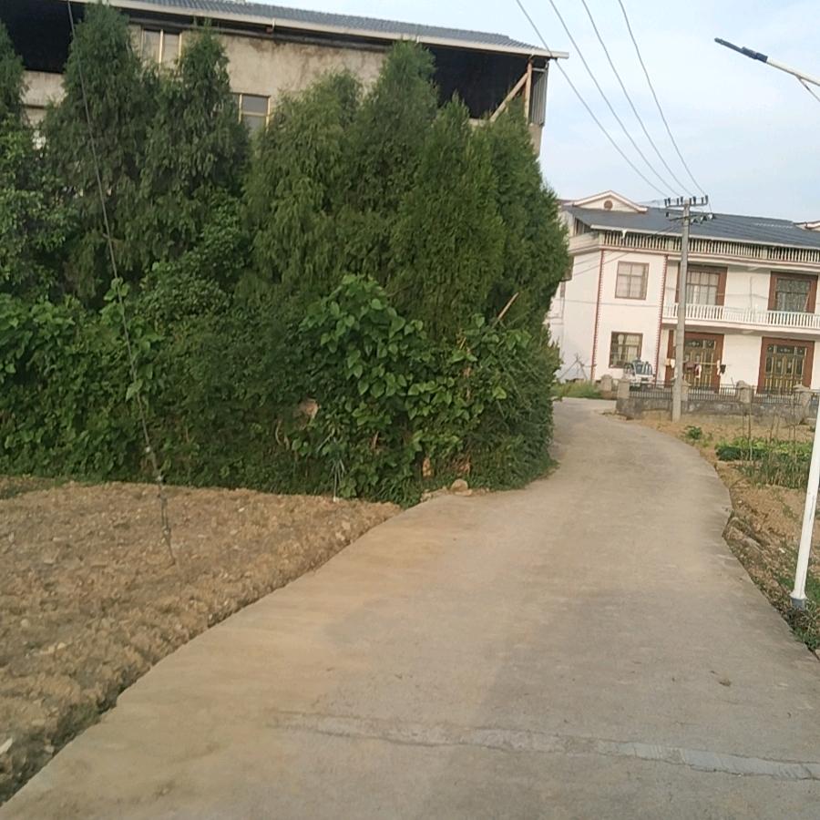 下乡叫卖小陈