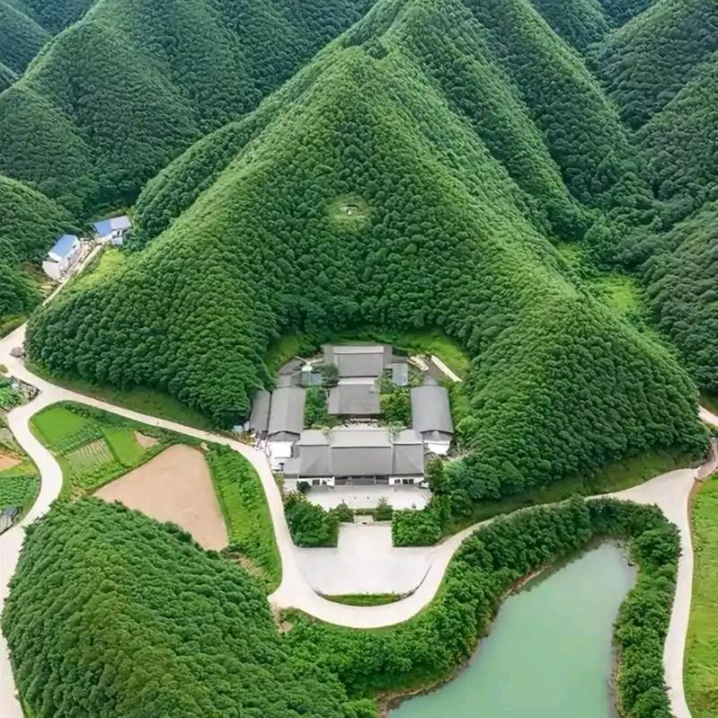 神算泰斗   收徒