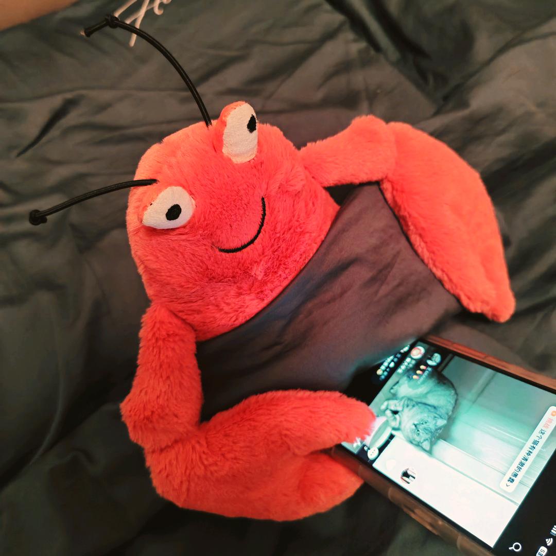 小盆友的陈锅锅