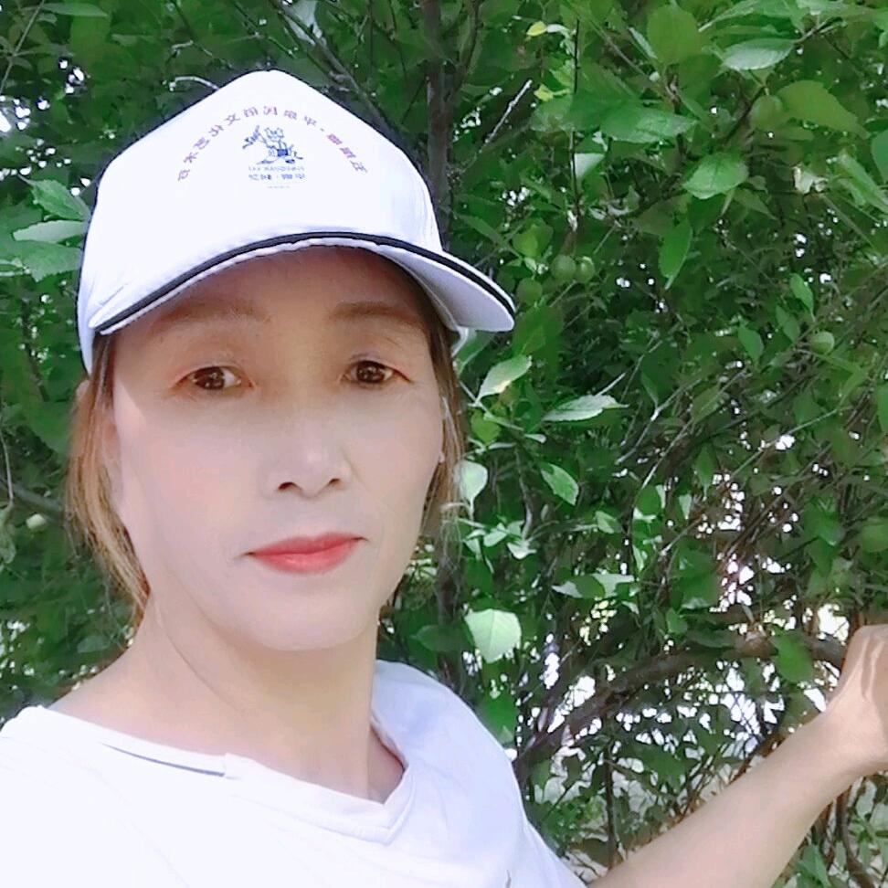 人生如歌3608