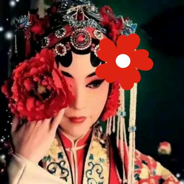 卡拉是条狗