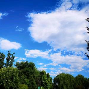 宛若晴空🌈