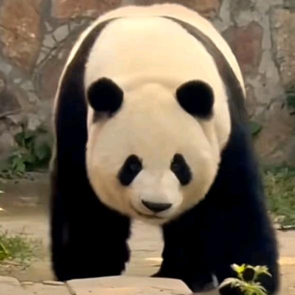 钱多钱多  钱多的花不完根本花不完