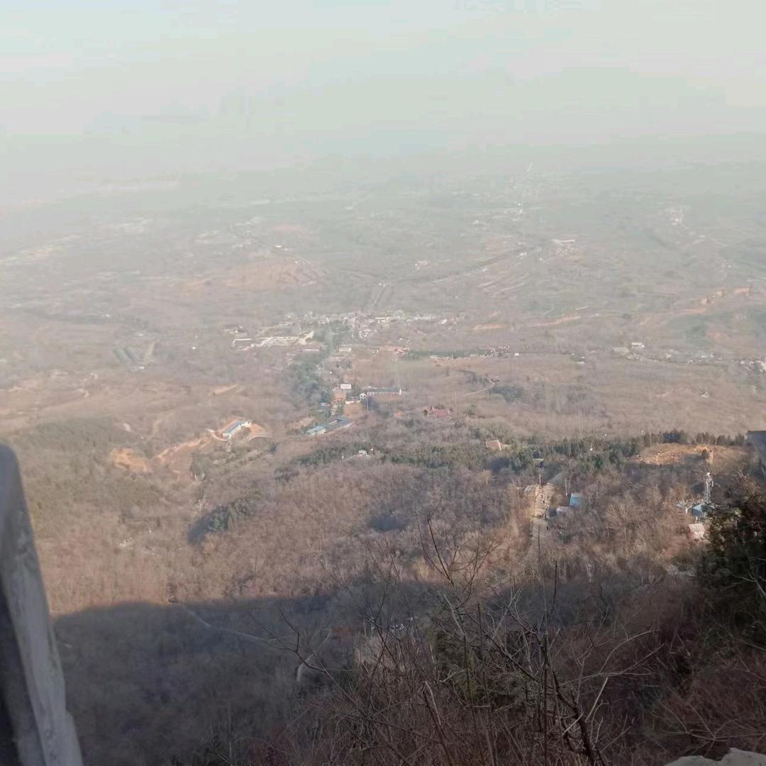 薄荷不懂柠檬心