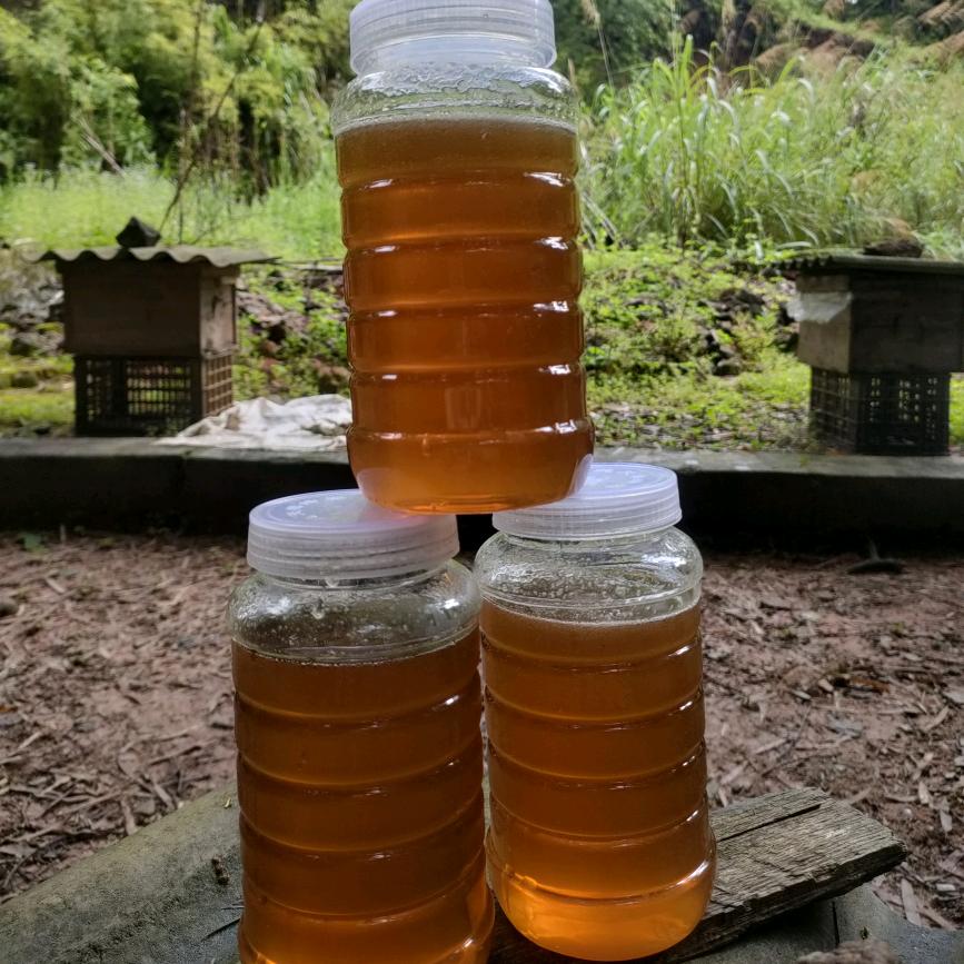 永恒的情怀