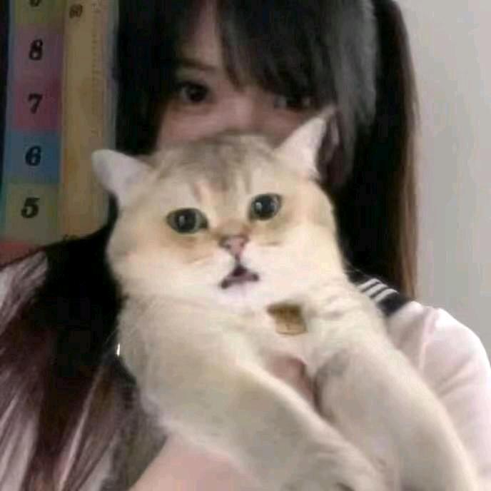禾页