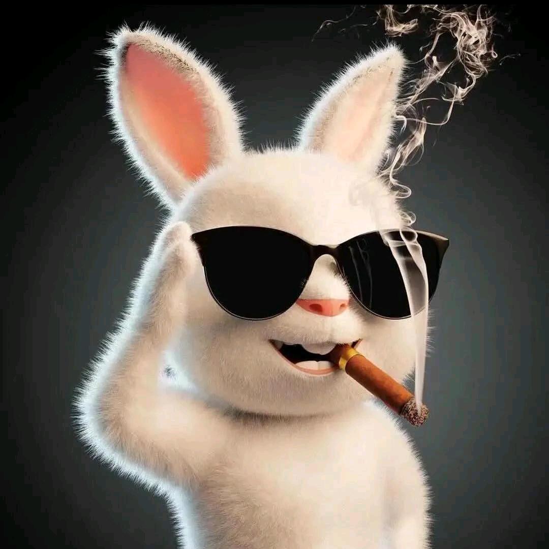 🌈🌈🌈酷不是哥的错&懂