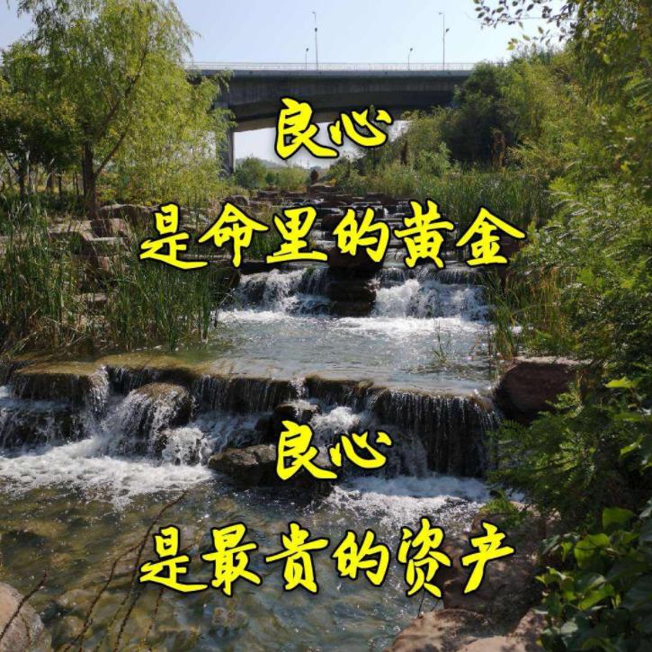 好物严选