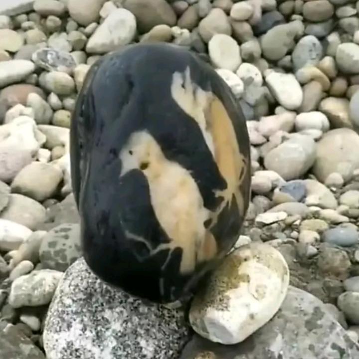 熊百万