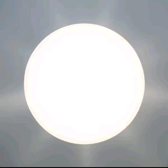 诚志服装商行一号店