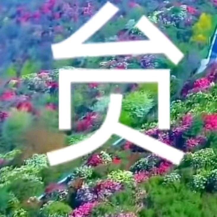 用户6826794867350老班长