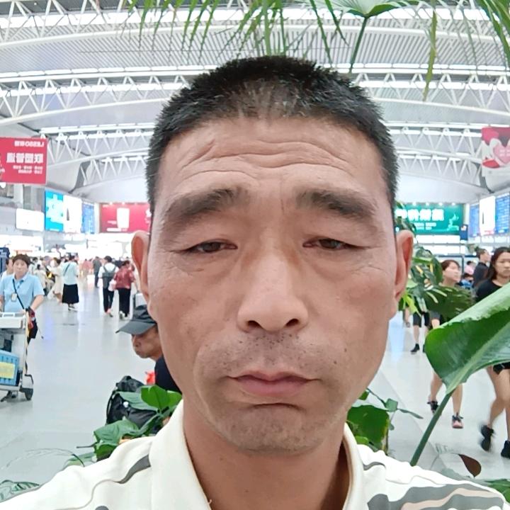 梦意