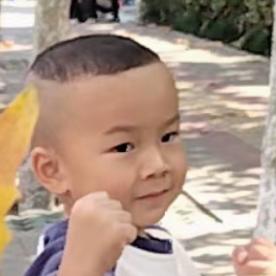 忘梅情深