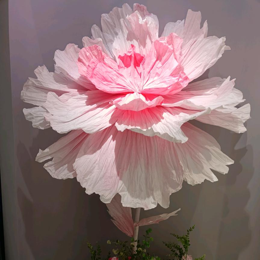 龙山王子