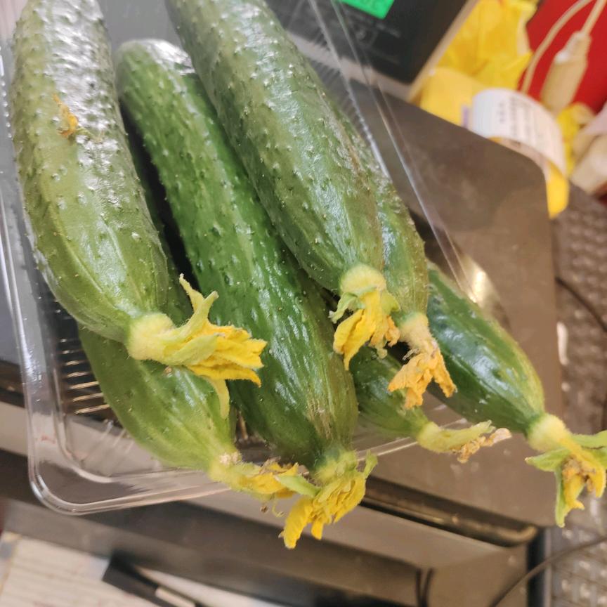 代哥团购