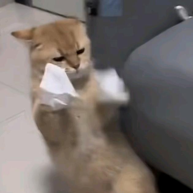 ？头像