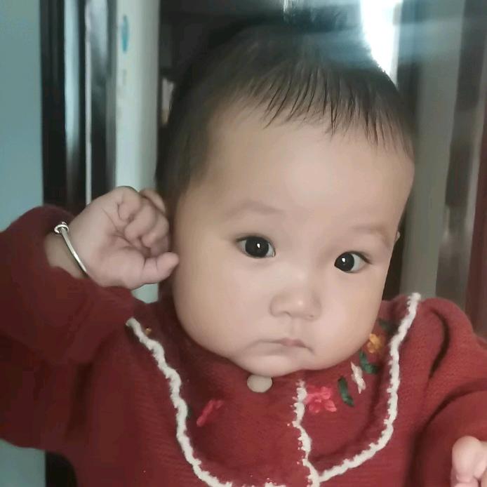 一枝梅