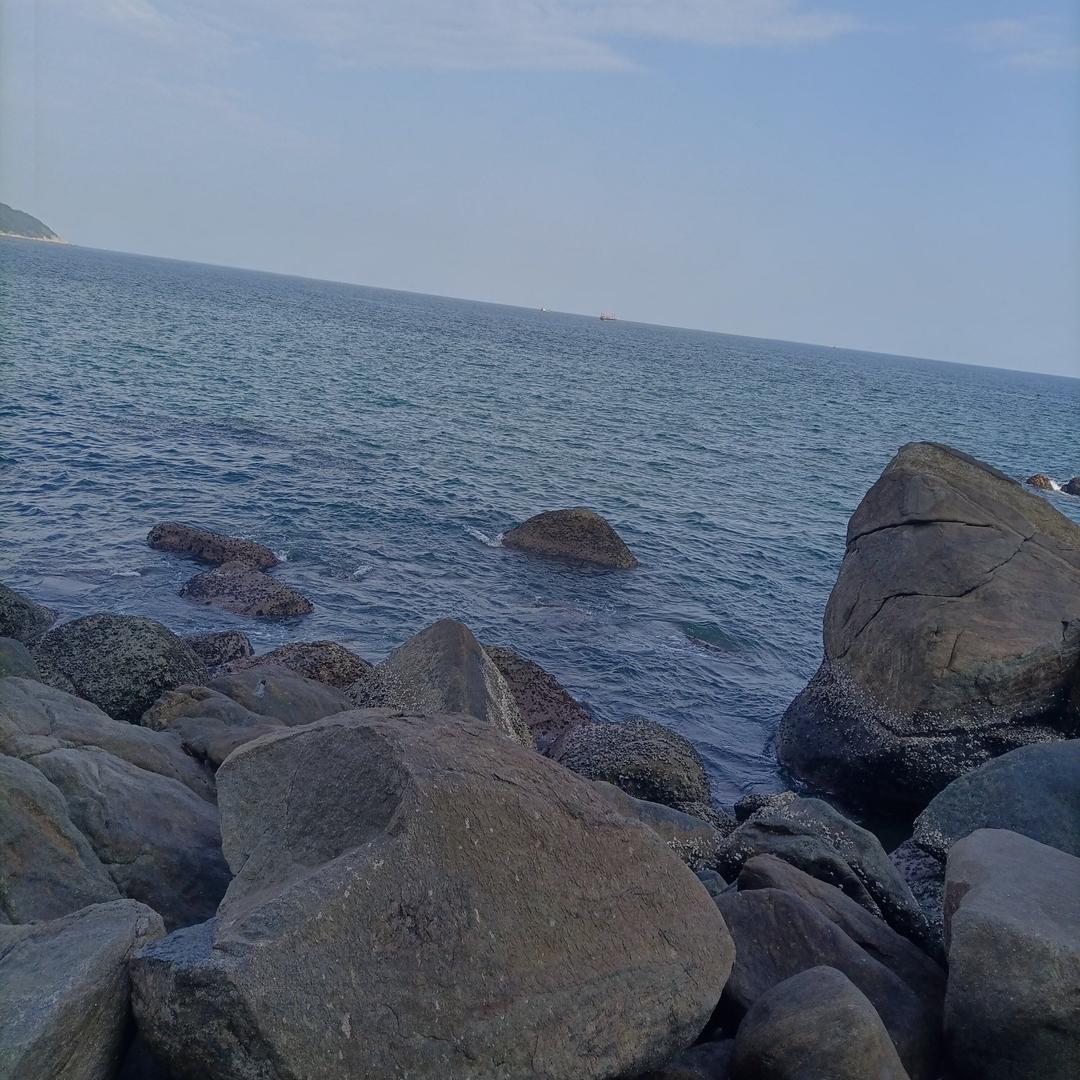 花无百日红
