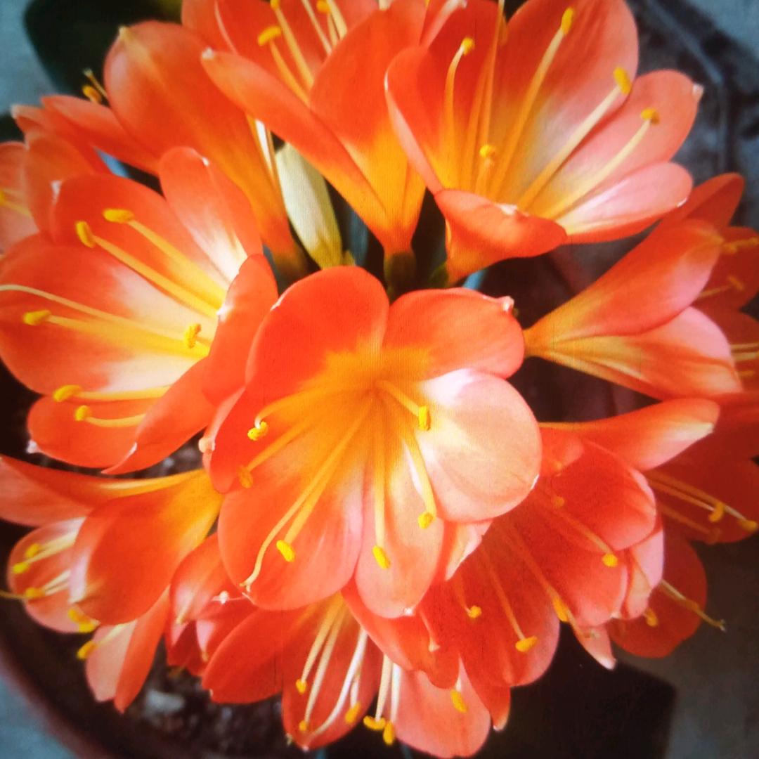 韩哥4498，实在人