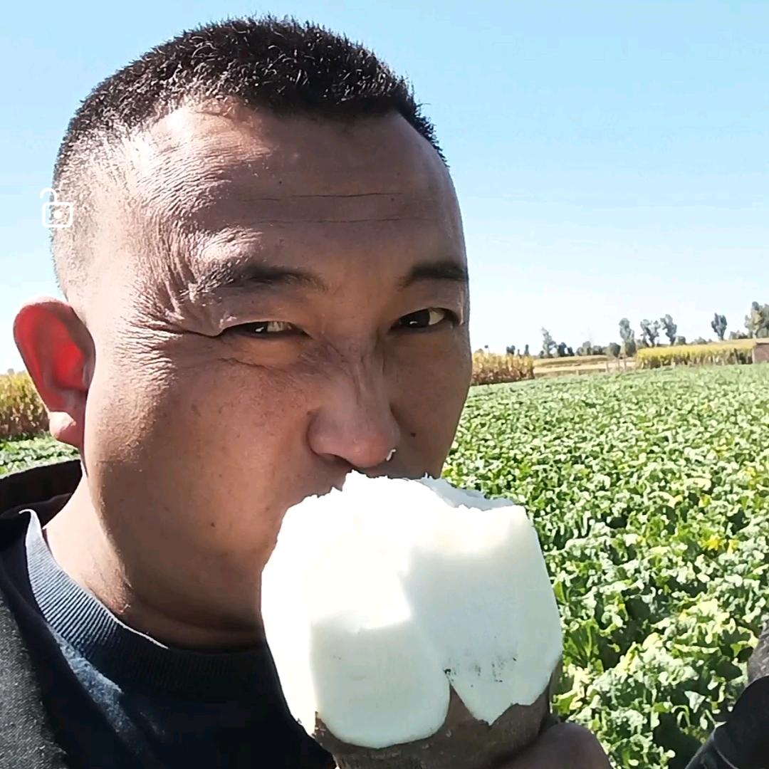哈拉少