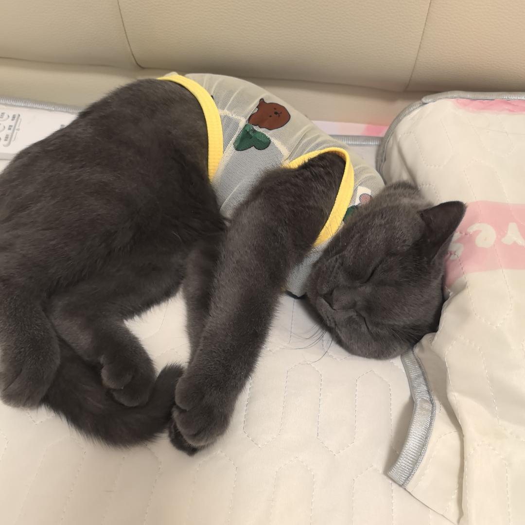 开心市民卡🌈🌈🌈