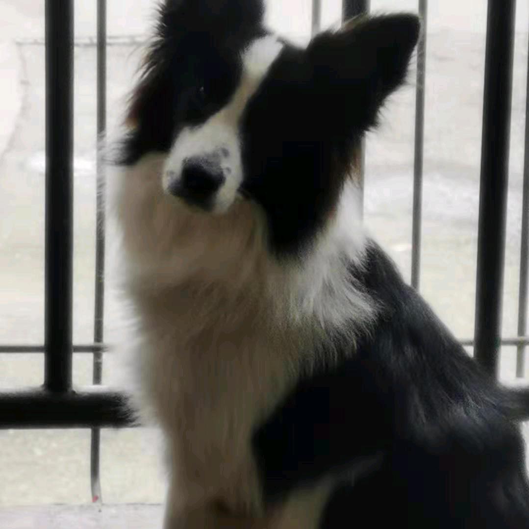 夏天漫剧