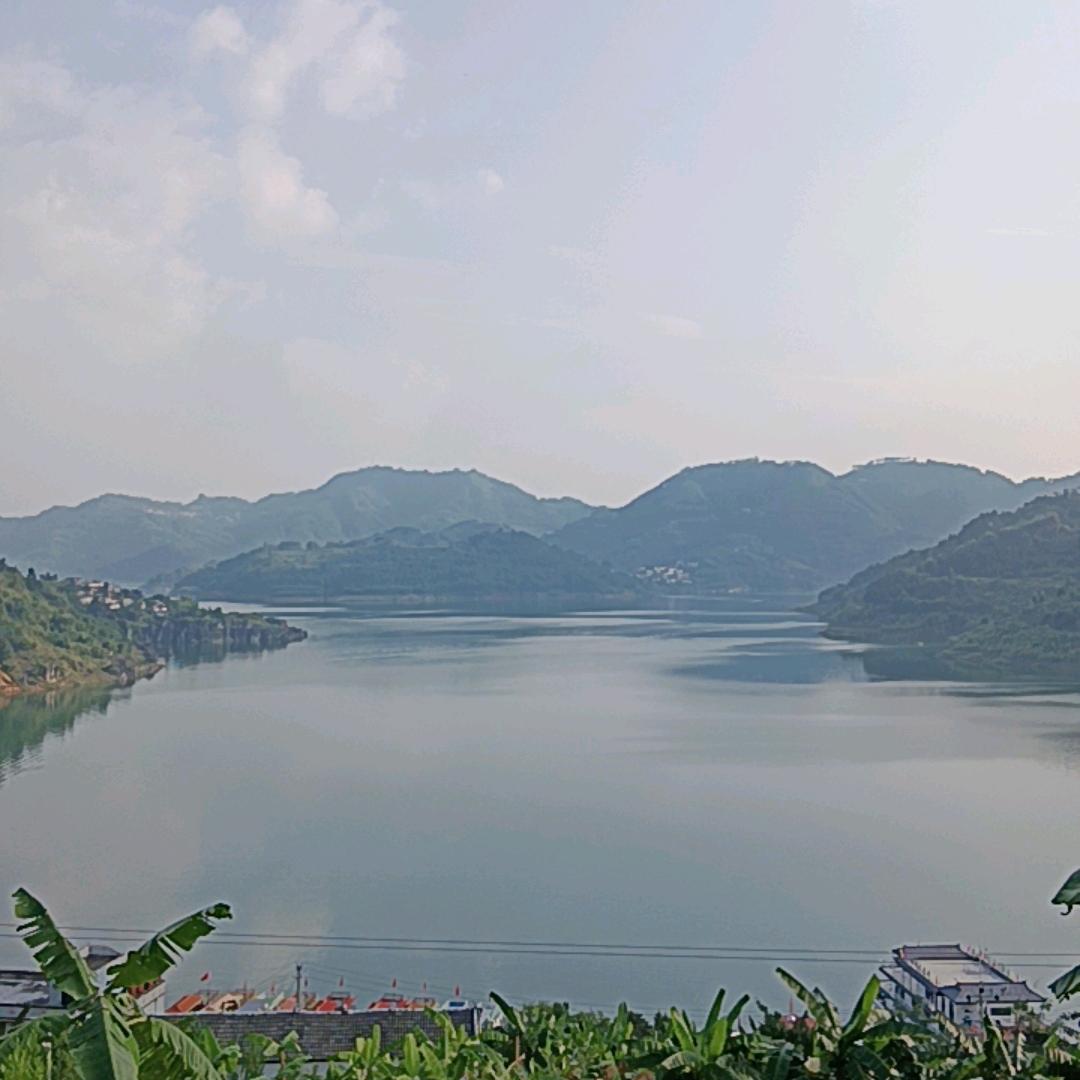 漂泊的心