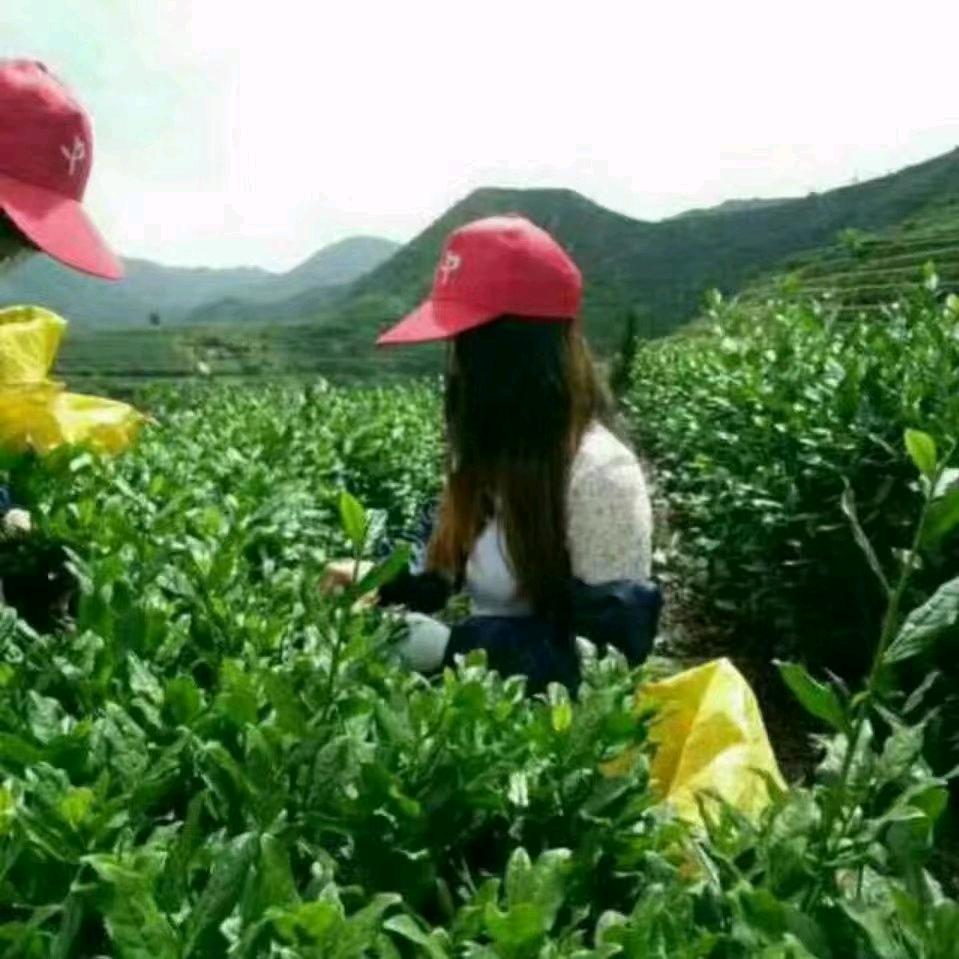 四季好物