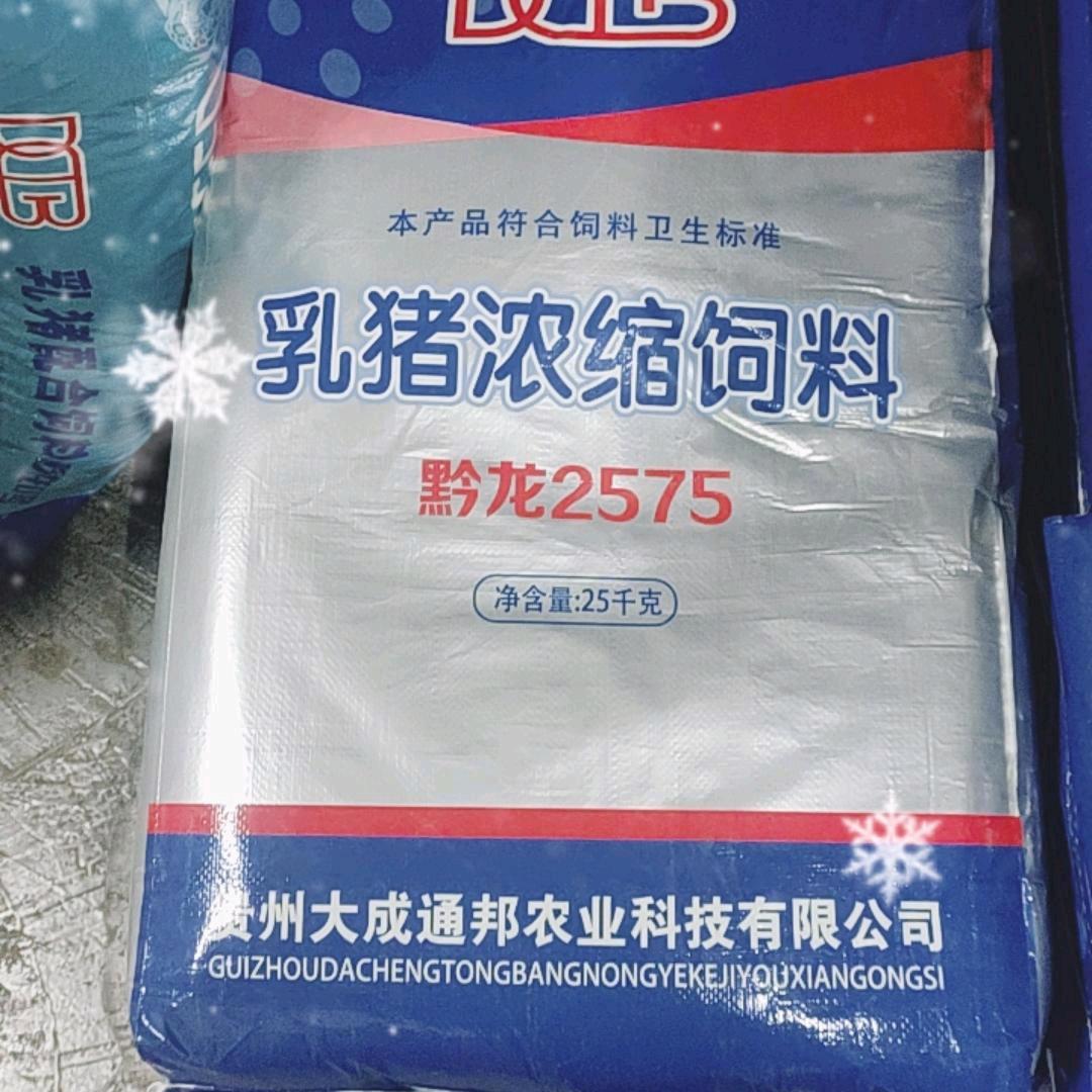 雨中散步