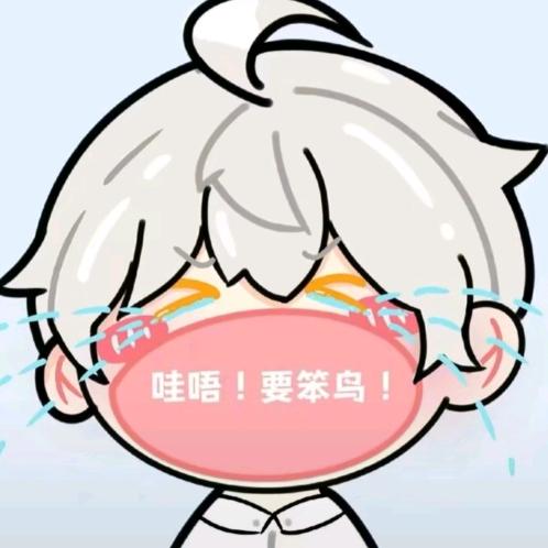 NPC什么时候合体