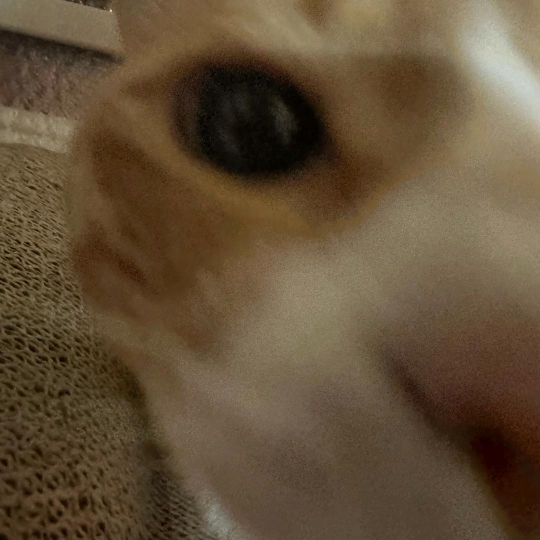 源气